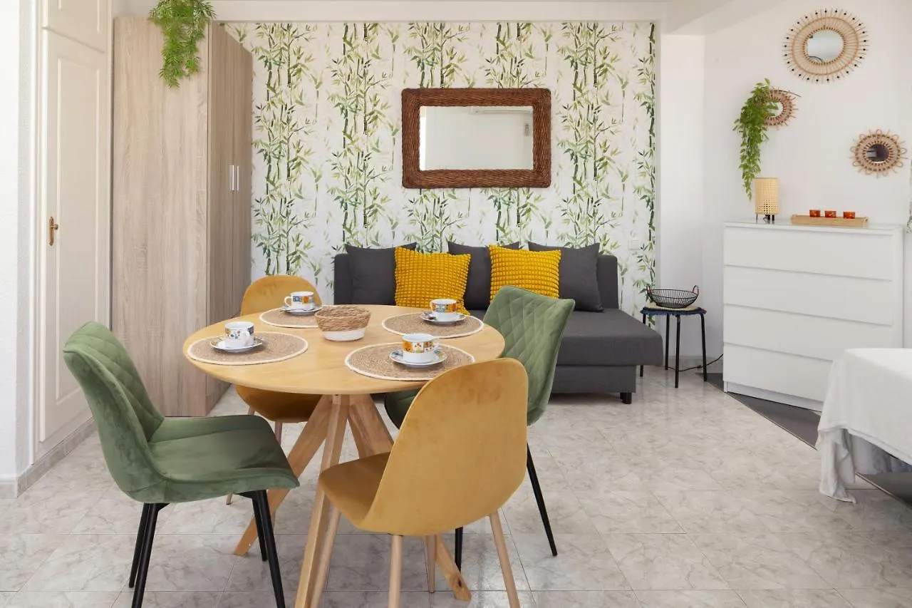 Apartamento Torre Del Mar Studio
